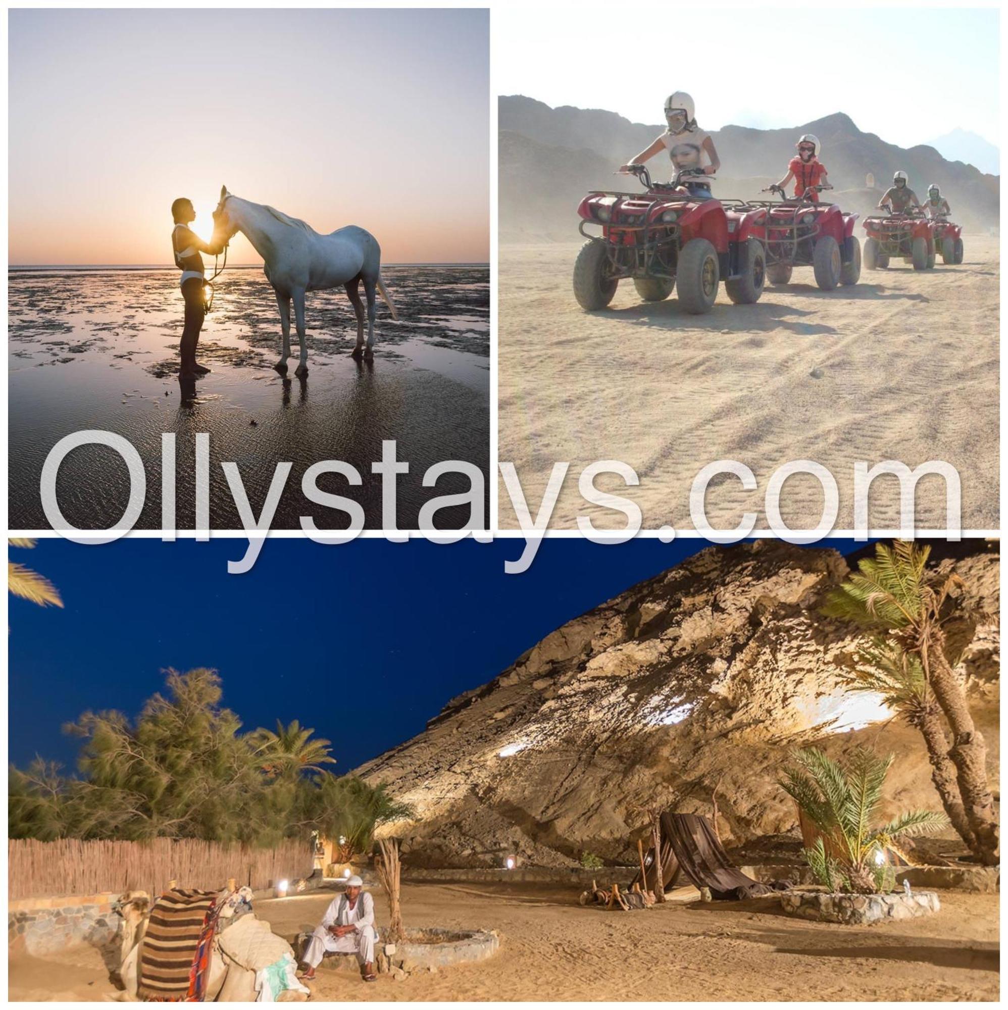 Ollystays Mangroovy Seaview 1Br Beach And Pool Free Access Hurghada Extérieur photo